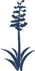 The Mirabel Club Logo